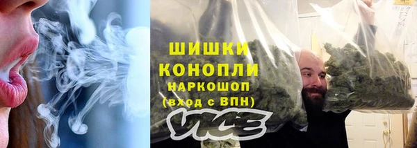 шишки Белокуриха