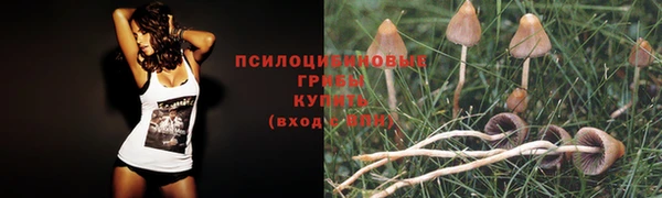 не бодяженный Богородск