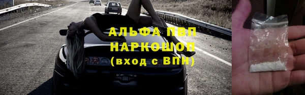 шишки Белокуриха
