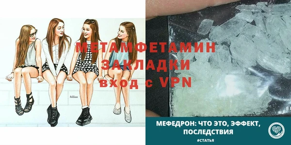 шишки Белокуриха