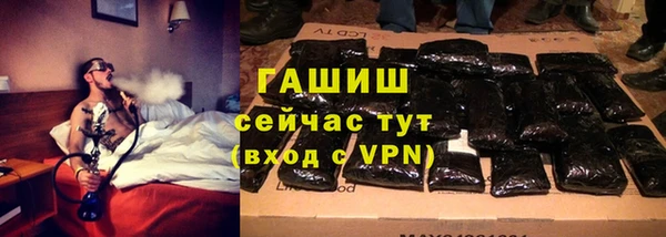 шишки Белокуриха