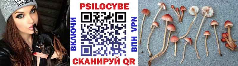 Псилоцибиновые грибы прущие грибы  Еманжелинск 